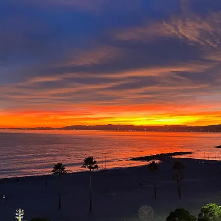 Center, Minutes Walk From The Palais Des Festivals, Beaches, La Croisette And Rue D'antibes *